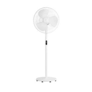 Pedestal Fan